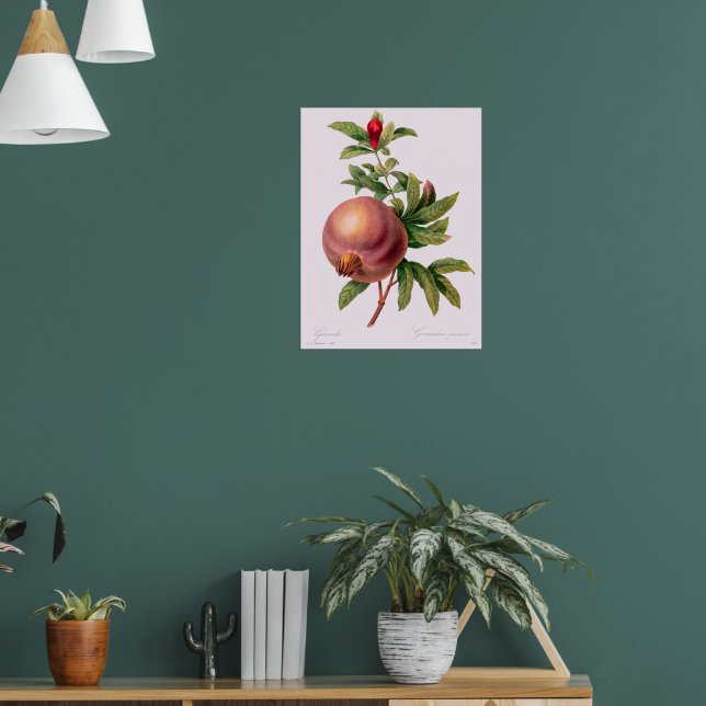 Grenade (Pomegranate) von Pierre Redout Poster (Wohnzimmer 1)