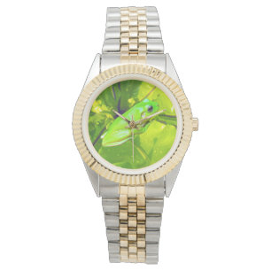 Grenouille à arbre vert, montre à poignet Unisex