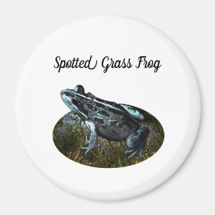 Grenouille à herbe tachetée, aimant