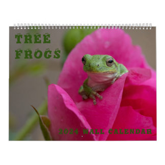 Grenouille arborescente 14,25 X 11 Calendrier mura