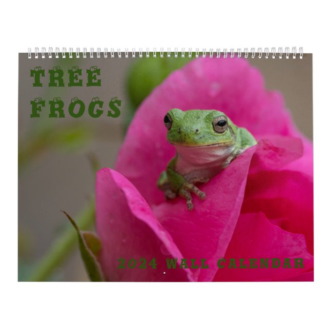 Grenouille arborescente 14,25 X 11 Calendrier mura (Protection)