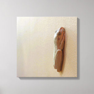 Grenouille au lait doux sur toile étirée Imprimer