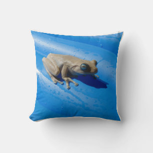 Grenouille au lait sur un oreiller flottant