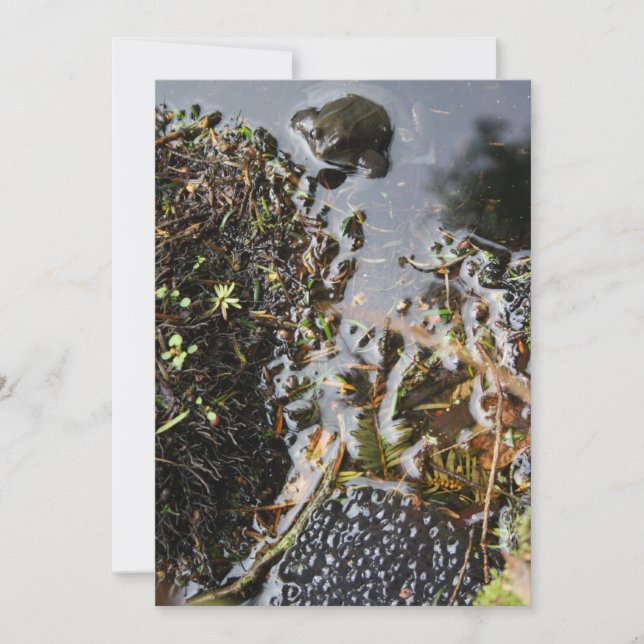 Grenouille avec la grenouille Invitation à la crev (Devant)