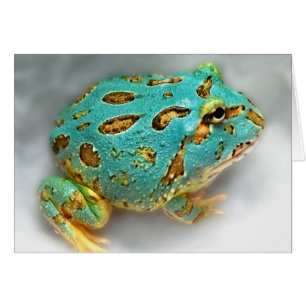 Grenouille bleue de Pac-Man - attente, attendant,