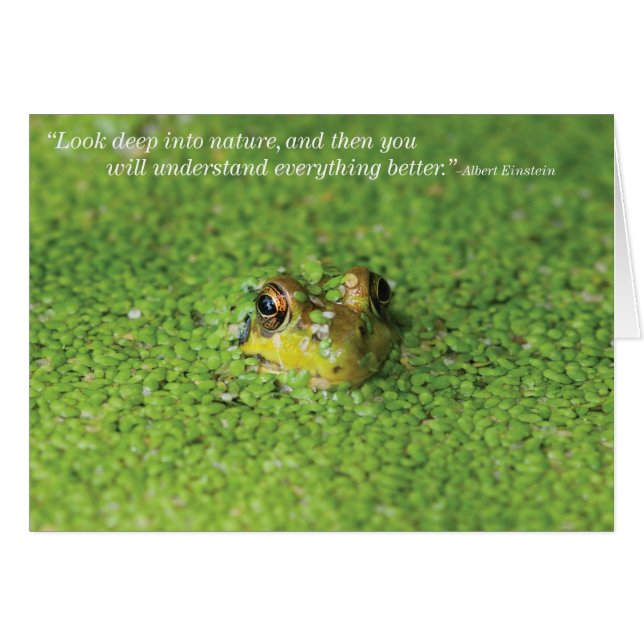 Grenouille dans les algues vertes (Devant horizontal)