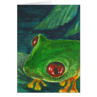 grenouille d'arbre rouge de vert d'oeil