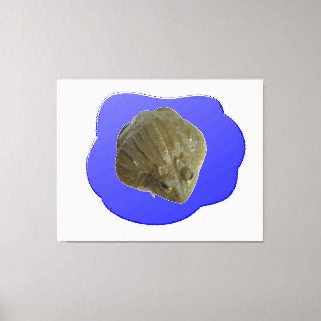 Grenouille en toile d'étang Imprimer (Recto)