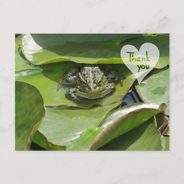 Grenouille en vert vous regardant Merci carte post (Devant)