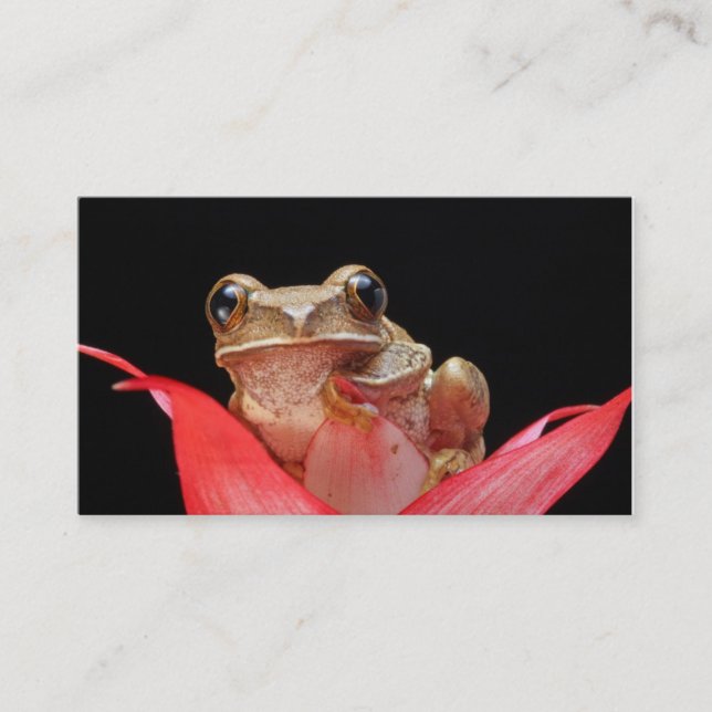 Grenouille mignonne et drôle dans le carte de (Devant)