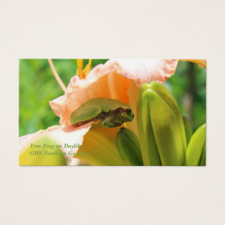 Grenouille souriante Lily rose