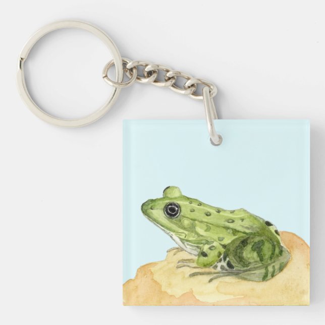Grenouille verte (Devant)