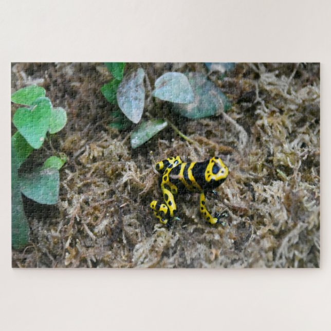 Grenouilles tropicales. Puzzle (Horizontal)