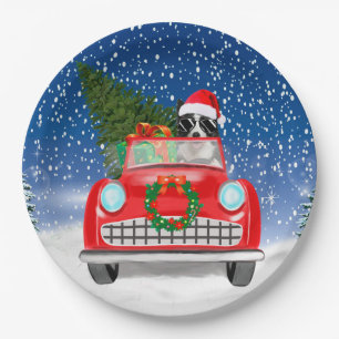 Grenz Collie Dog Auto fahren im Schnee Weihnachten Pappteller