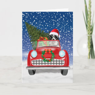 Grenz Collie Dog Auto fahren im Schnee Weihnachten Programm