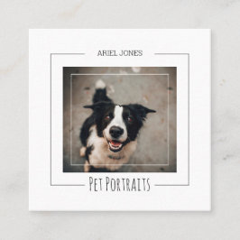 Grenz-Collie-Fotografie Portraits für Haustiere Fo Quadratische Visitenkarte