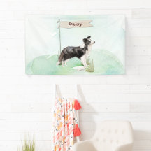 Grenz Collie Gratulation zum neuen Hund