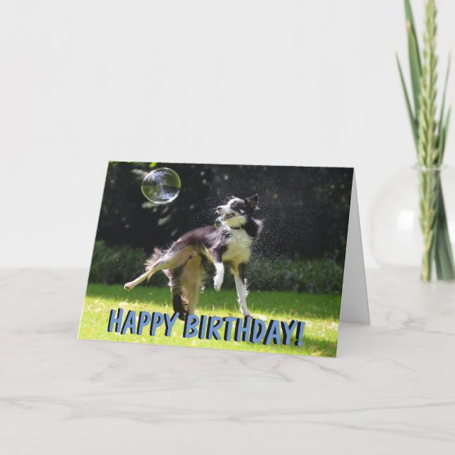 Grenz-Collie-Hund-Geburtstagskarte Karte (Vorderseite)