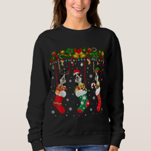 Grenz-Collie Sock Xmas Rentier Santa ELF Hund Sweatshirt