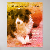 Grenz-Collie und Ball Hunde Kunst Inspiration