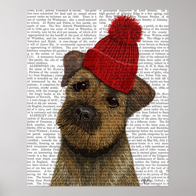 Grenz-Terrier mit Red Bobble Hat Poster (Vorne)