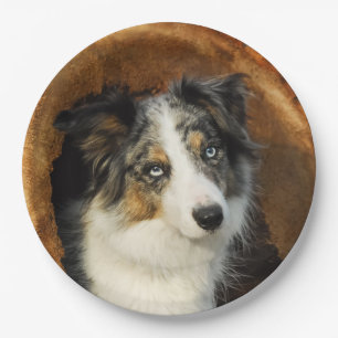 Grenzcollie blaues Merle Hundeporträt, glücklich Pappteller