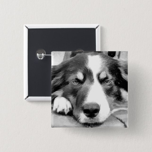 GRENZCOLLIE BUTTON (Vorne & Hinten)