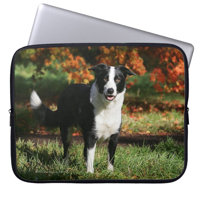 Grenzcollie-Herbst stehend Laptopschutzhülle (Vorderseite)