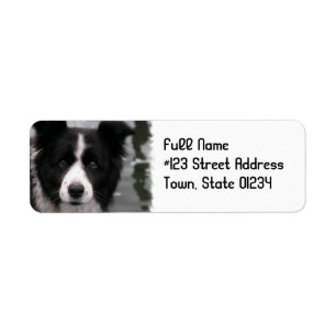 Grenzcollie-HundeRücksendeadresse-Aufkleber