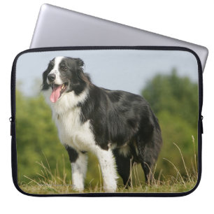 Grenzcollie-Keuchen stehend Laptopschutzhülle