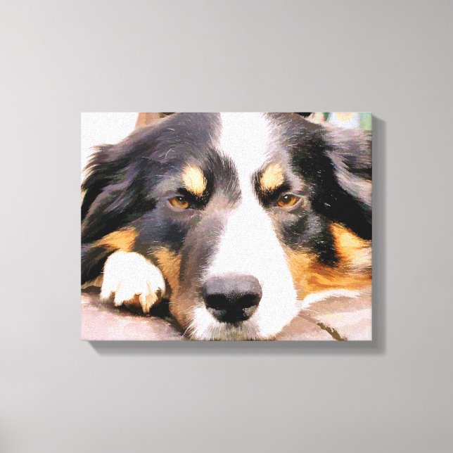 GRENZCOLLIE LEINWANDDRUCK (Vorderseite)