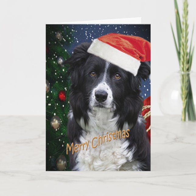 GRENZCOLLIE MERRY CHRISTMAS Karten (Vorderseite)