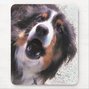 GRENZCOLLIE MOUSEPAD