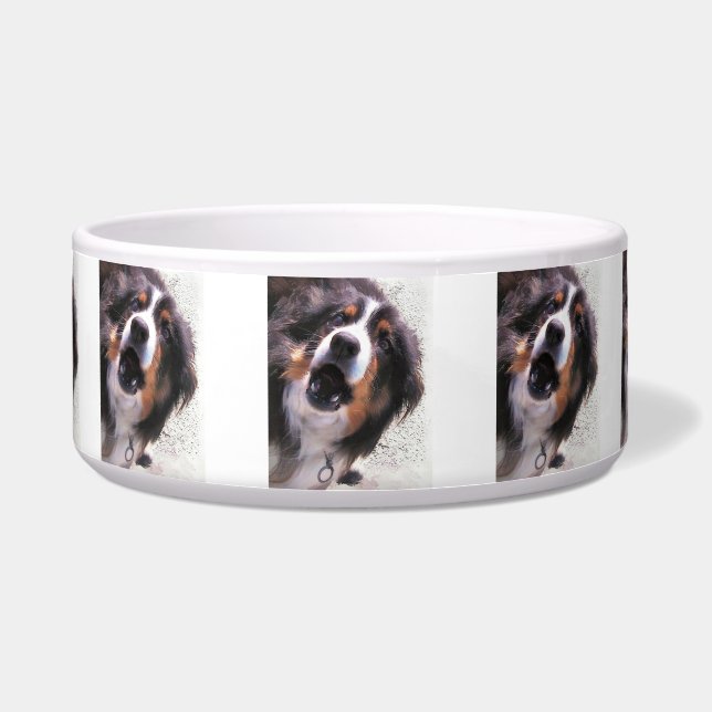 GRENZCOLLIE NAPF (Vorderseite)