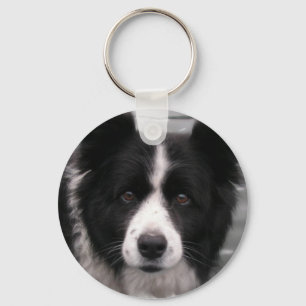 Grenzcollie-Schlüsselanhänger Schlüsselanhänger