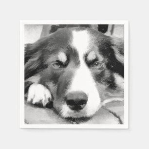 GRENZCOLLIE SERVIETTE