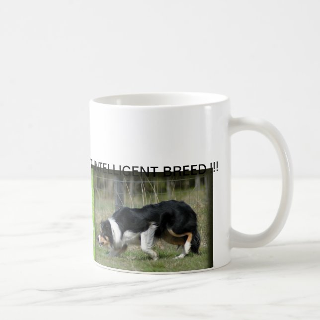 GRENZcollie-TASSE Kaffeetasse (Rechts)