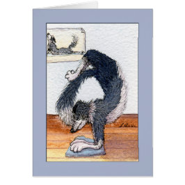 Grenzcolliehund in einer Yoga-Pose, leere Karte