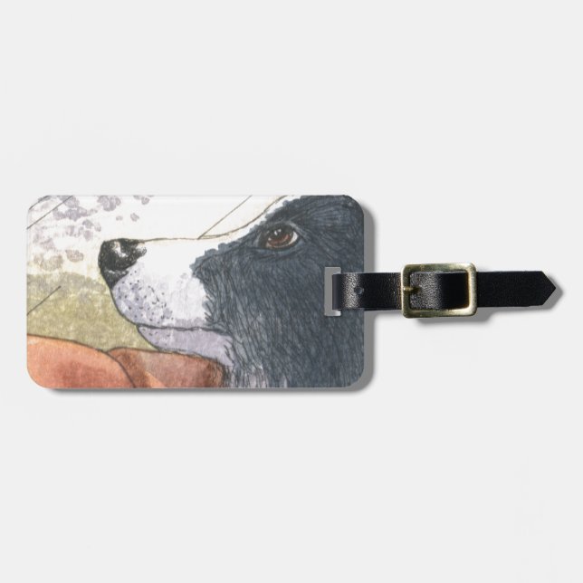 Grenzcolliehund wartete in Auto Gepäckanhänger (Vorderseite horizontal)