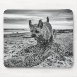 Grenze grabendes Terrier, Fotografie, Mousepad