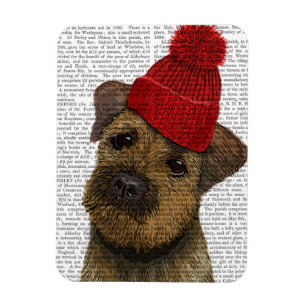 Grenze Terrier mit Rot Bobble Hut 3 Magnet