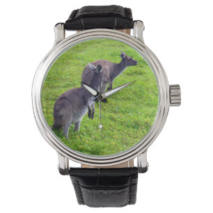 Grenzenlose Horizonte: Graues Kangaroos auf grassy Armbanduhr