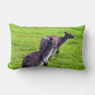Grenzenlose Horizonte: Graues Kangaroos auf grassy Lendenkissen