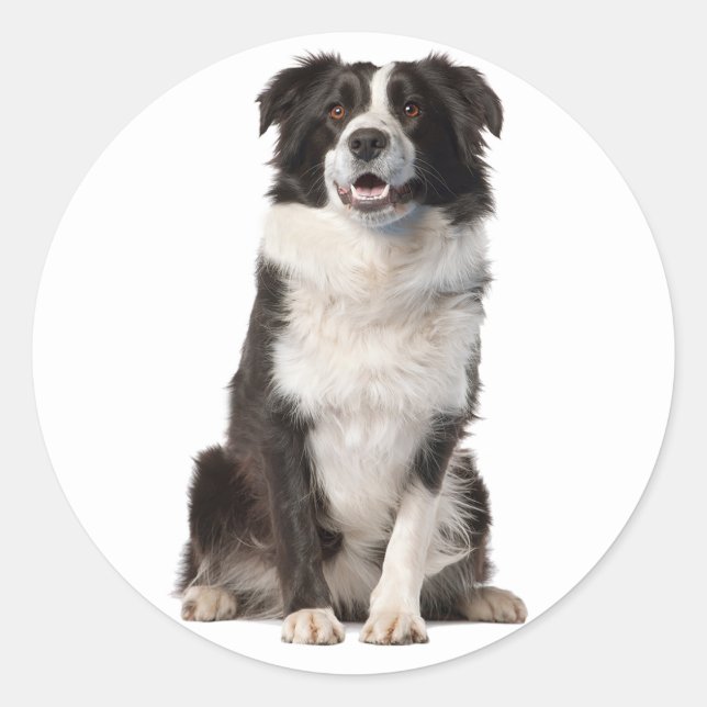 GRENZFARBENE SCHWARZE UND WEISSE HUNDE RUNDER AUFKLEBER (Vorderseite)