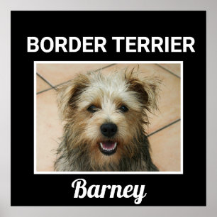 Grenzgebiet Terrier Custom Doster Poster