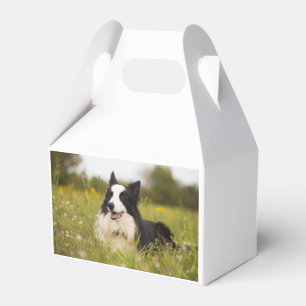 Grenzkollision in Wildblumen Geschenkschachtel