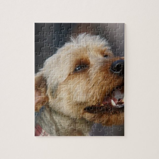 Grenzquerschnitt (Vertikal)