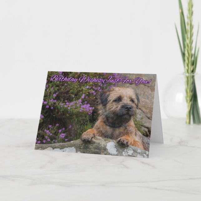 Grenzterrier auf einem Felsen mit wilder lila Karte (Vorderseite)