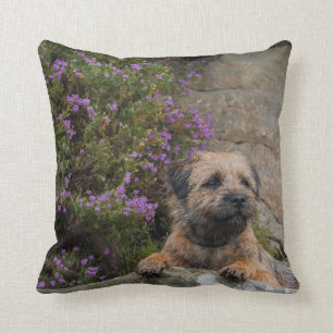 GrenzTerrier-Hund im wilden Heide-Wurfs-Kissen Kissen
