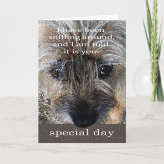 GrenzTerrier-Hundegeburtstagskarte Karte